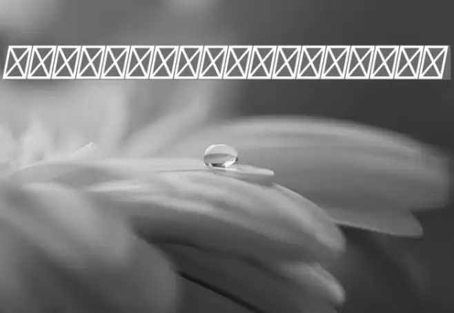 Sansita-BoldItalic Font examples