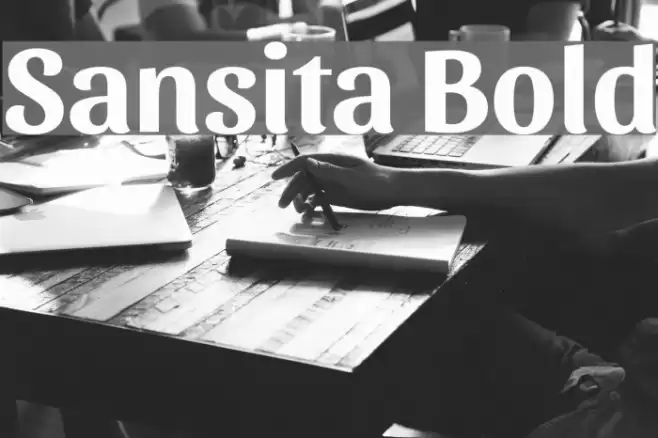 Sansita Bold Font examples