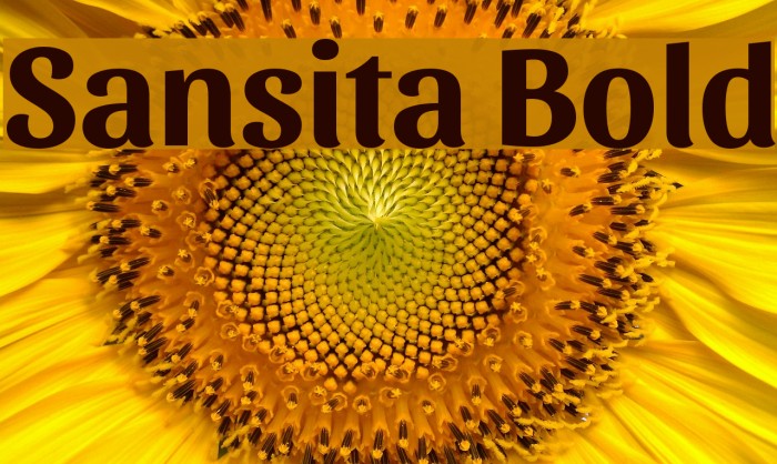 Sansita Bold Font examples