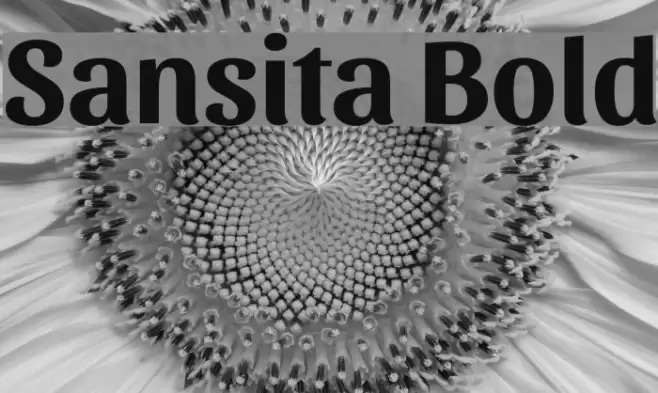 Sansita Bold Font examples