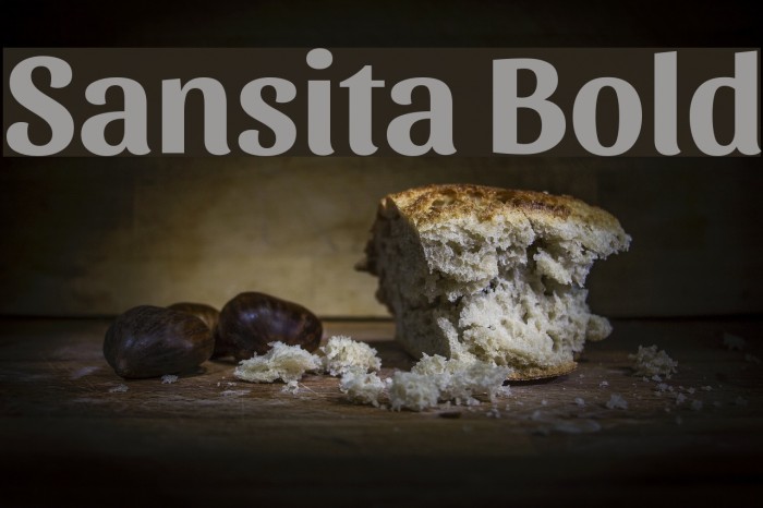 Sansita Bold Font examples