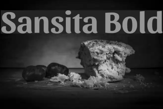 Sansita Bold Font examples