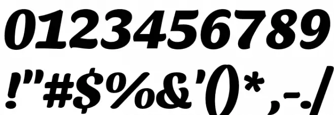 Sansita ExtraBold Italic Font OTHER CHARS