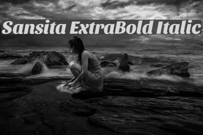 Sansita ExtraBold Italic Font examples
