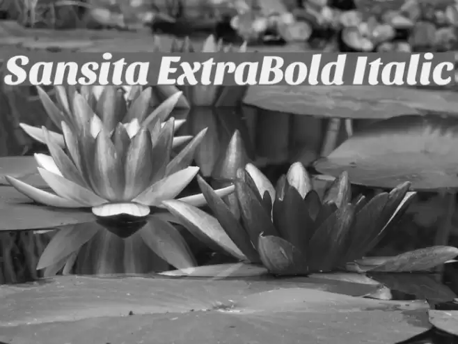 Sansita ExtraBold Italic Font examples