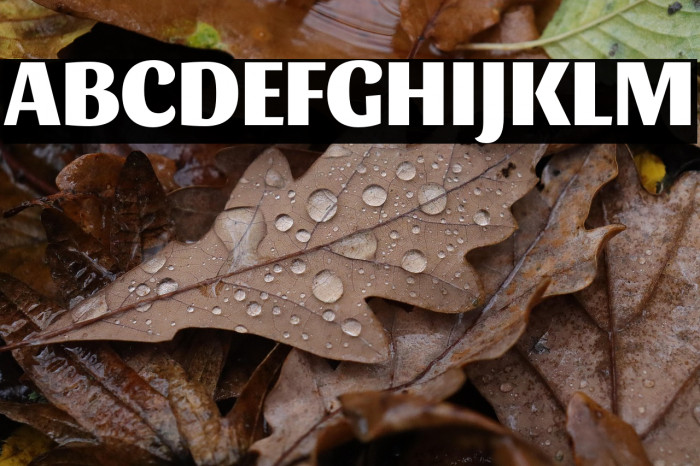 Sansita ExtraBold Example 3