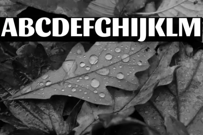 Sansita ExtraBold Font examples