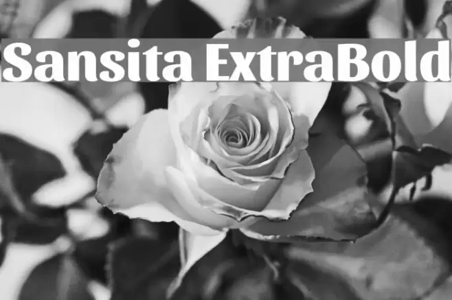 Sansita ExtraBold Font examples
