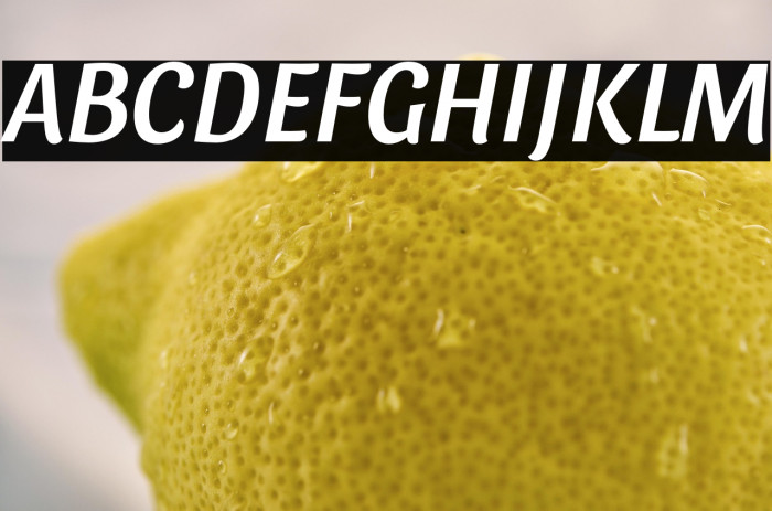 Sansita Italic Example 1