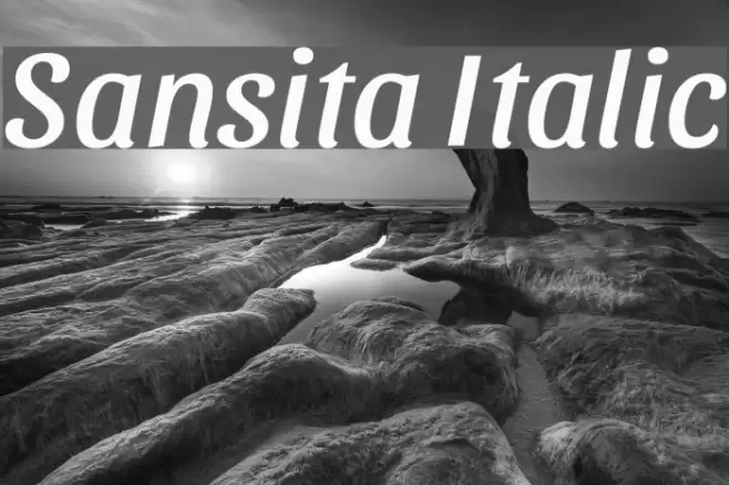 Sansita Italic Font examples