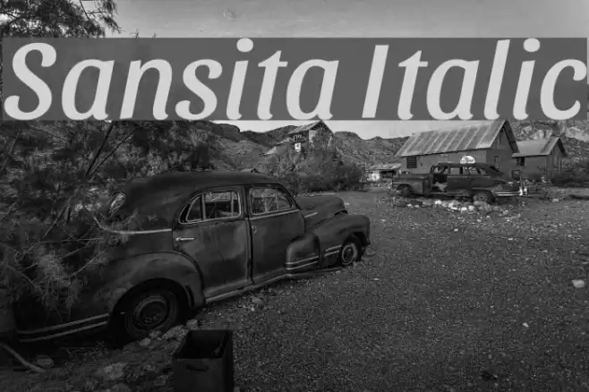 Sansita Italic Font examples