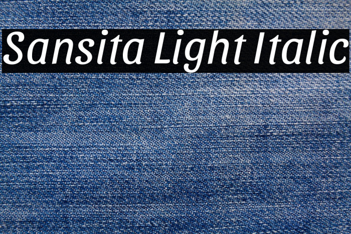 Sansita Light Italic Example 1