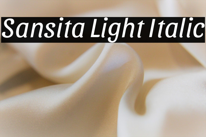 Sansita Light Italic Example 2