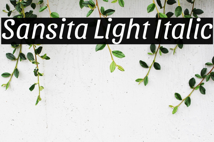 Sansita Light Italic Example 3