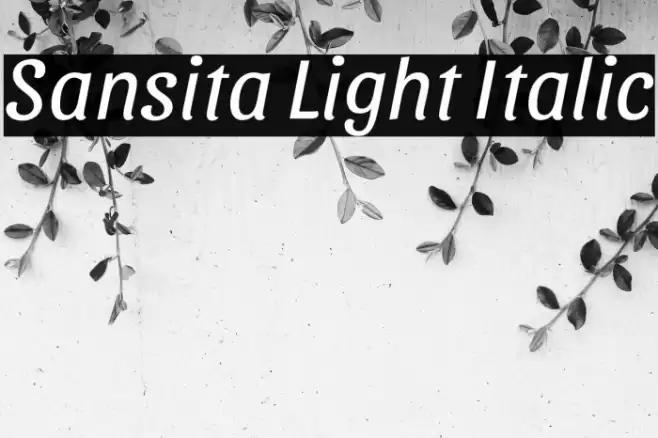 Sansita Light Italic Font examples