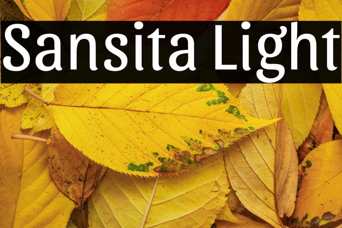 Sansita Light Example 1