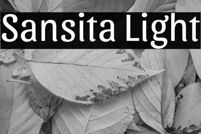 Sansita Light Font examples