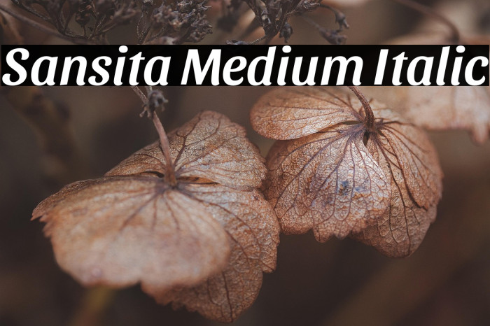 Sansita Medium Italic Example 1