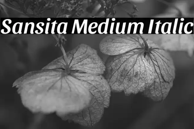 Sansita Medium Italic フォント examples