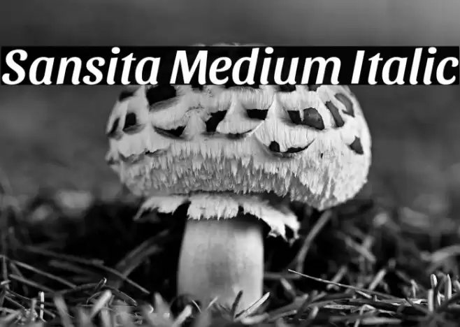 Sansita Medium Italic フォント examples