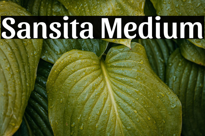 Sansita Medium Example 1
