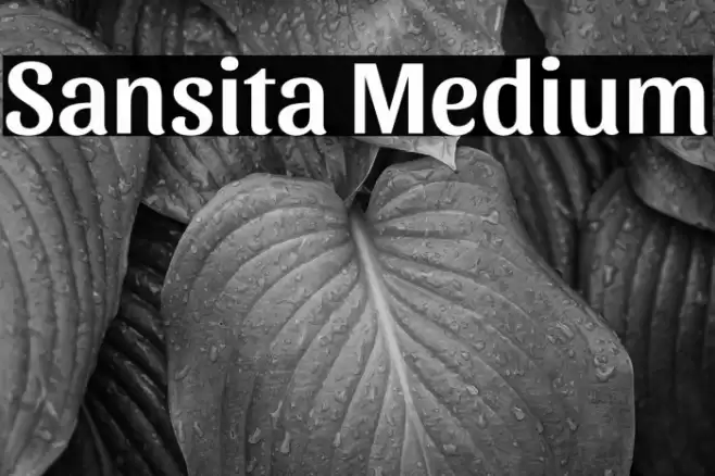 Sansita Medium Caratteri examples