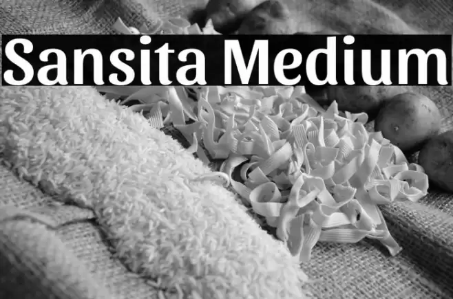 Sansita Medium Caratteri examples