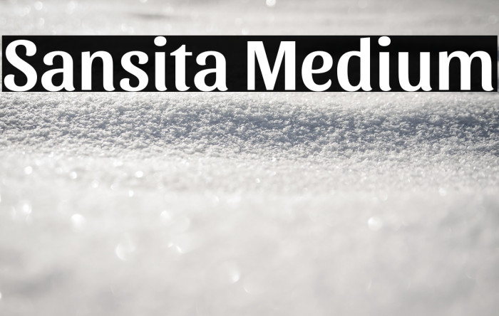 Sansita Medium Example 3