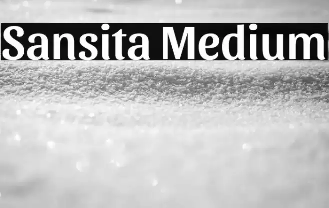 Sansita Medium Caratteri examples