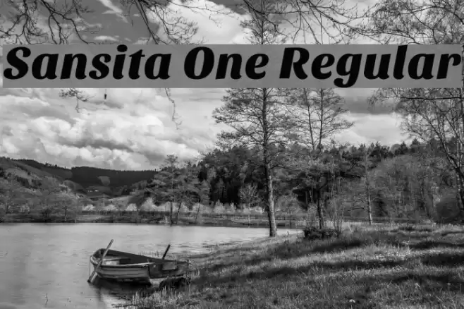 Sansita One Regular Font examples