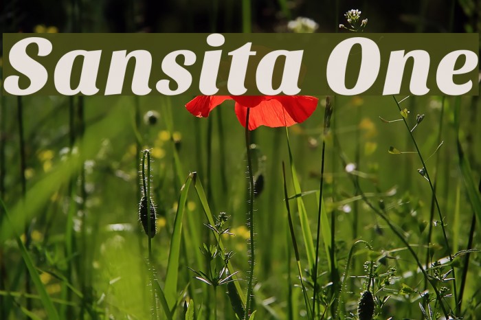 Sansita One Font examples