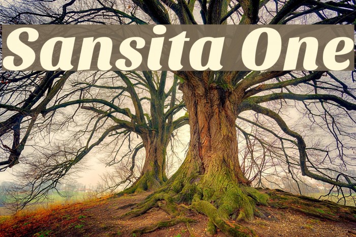 Sansita One Font examples