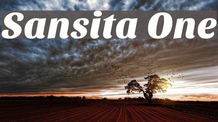 Sansita One Font examples