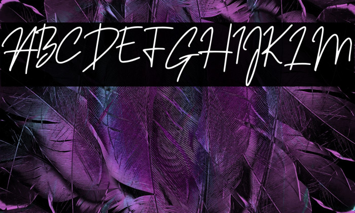 Sansitype Script Example 1