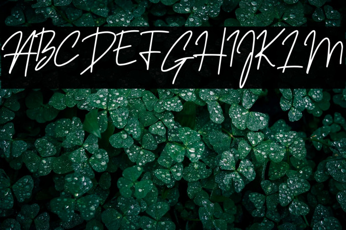 Sansitype Script Example 2