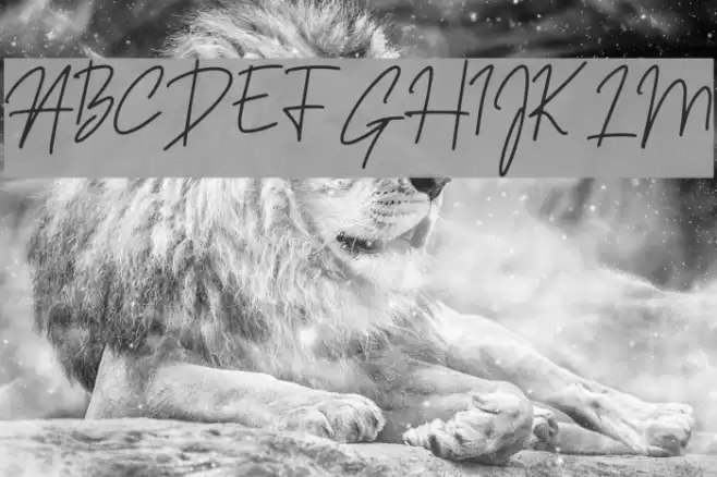 Sansitype Script Font examples