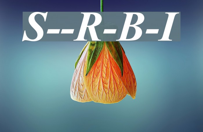 Sanskrit--Roman-Bold-Italic Font examples