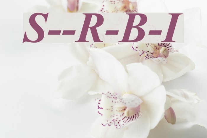 Sanskrit--Roman-Bold-Italic Font examples
