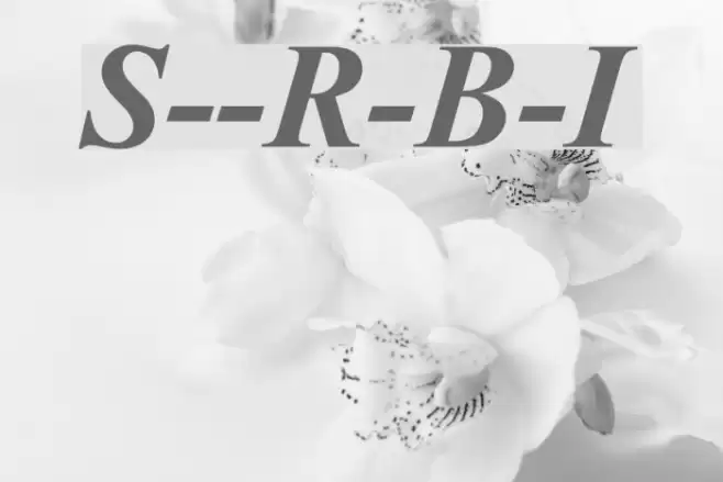 Sanskrit--Roman-Bold-Italic Font examples