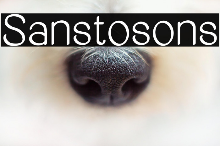 Sanstosons Example 1