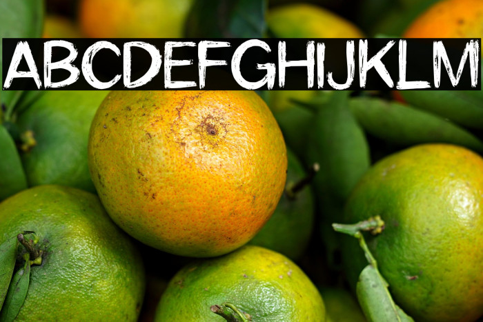 SanstuyBrush Example 3