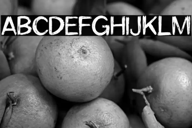 SanstuyBrush Font examples