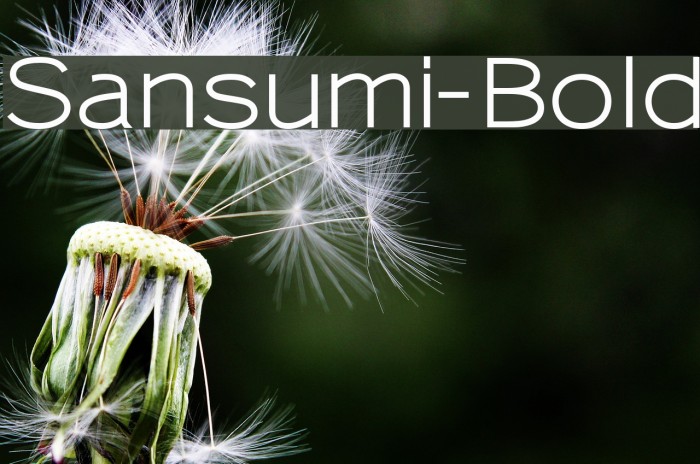Sansumi-Bold Шрифта examples