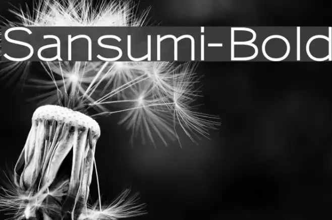 Sansumi-Bold Fonte examples