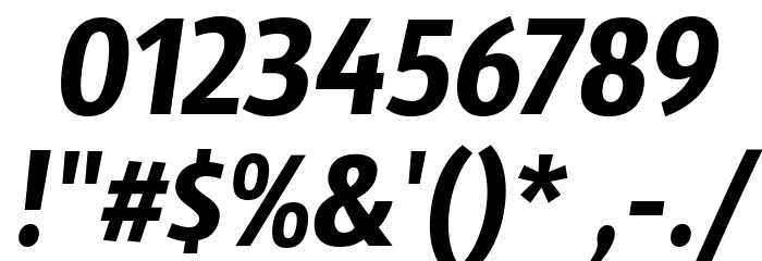 Sansus Webissimo Italic Font OTHER CHARS