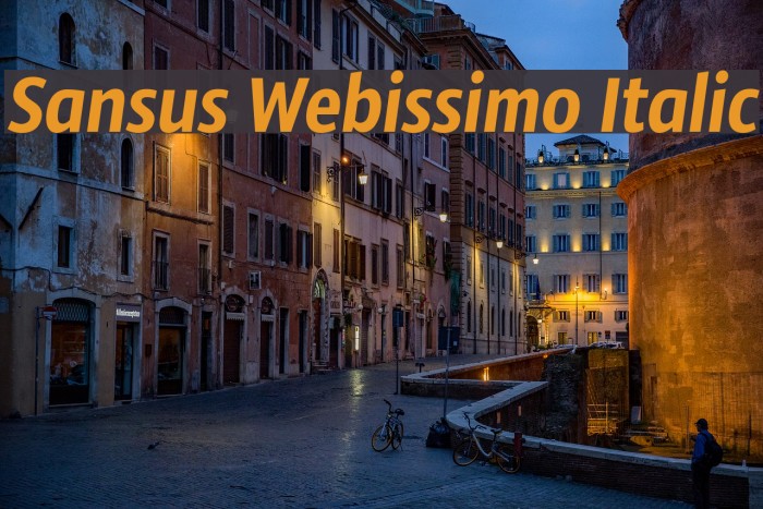 Sansus Webissimo Italic Font examples