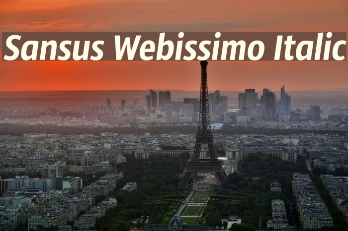 Sansus Webissimo Italic Font examples