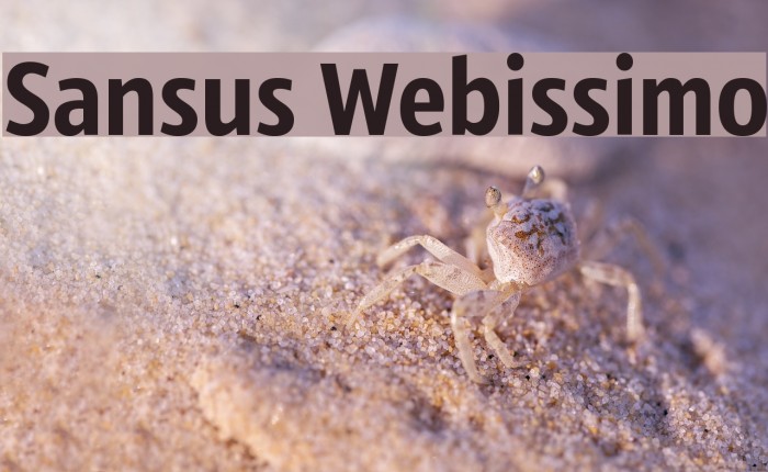 Sansus Webissimo Font examples