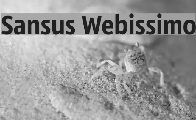 Sansus Webissimo Schriftart examples