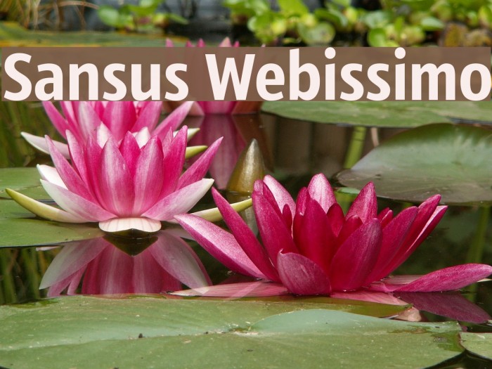 Sansus Webissimo Font examples